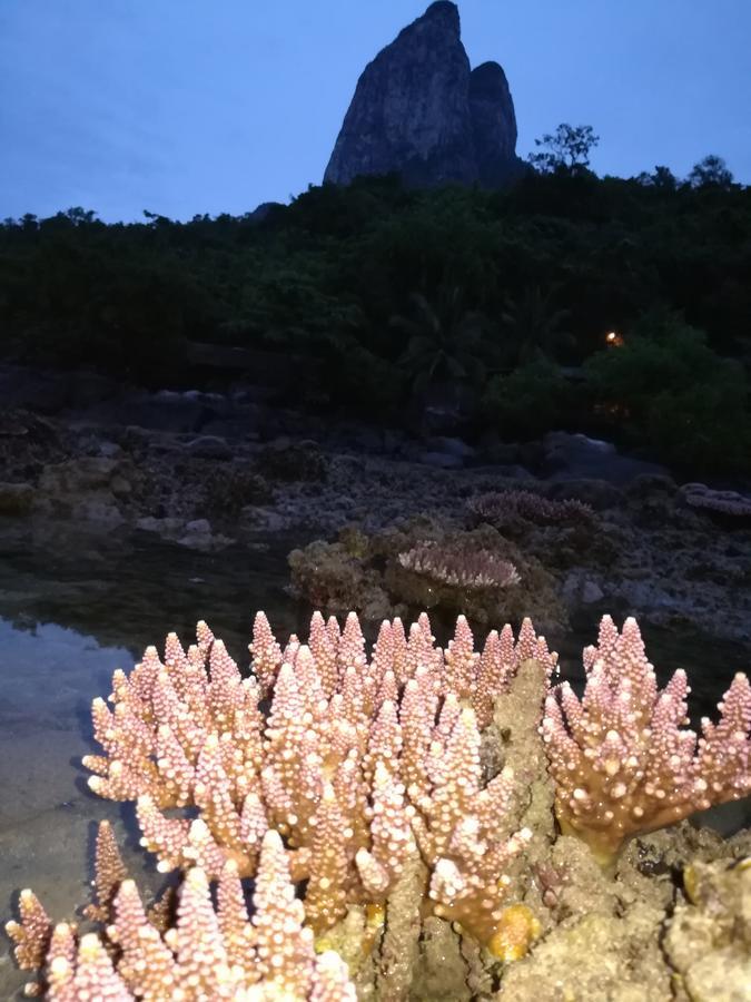 Simukut Place Kampong Pasir Sanang Burong Ngoại thất bức ảnh